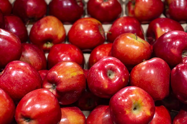 تصویر 1 از سیب شیرین درجه یک با رنگ طبیعی و ماندگاری بالا